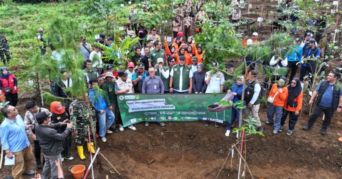 Bupati Bogor Targetkan 220 Hektare Hutan Kota, Penanaman Dimulai di Hulu Ciliwung