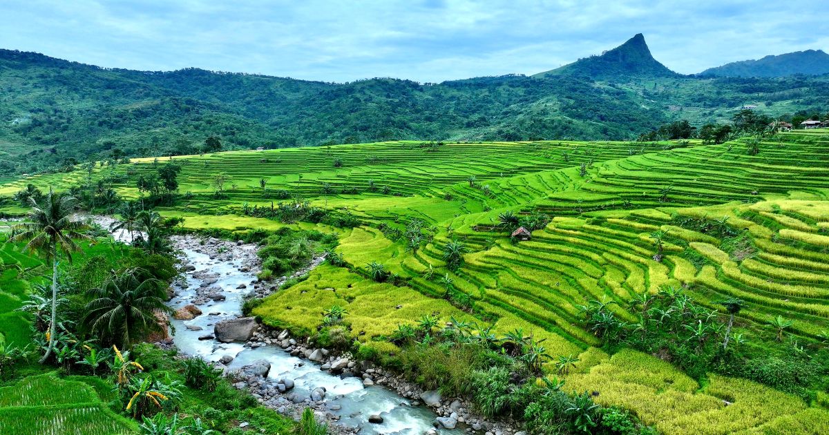 Pemandangan indah wilayah Kecamatan Sukamakmur, seperti permainan alam.
