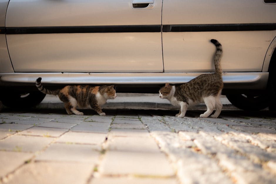 Tiga Pilar Budaya Roda Dua: Evolusi Motor, Kustom, dan Klasik Abadi